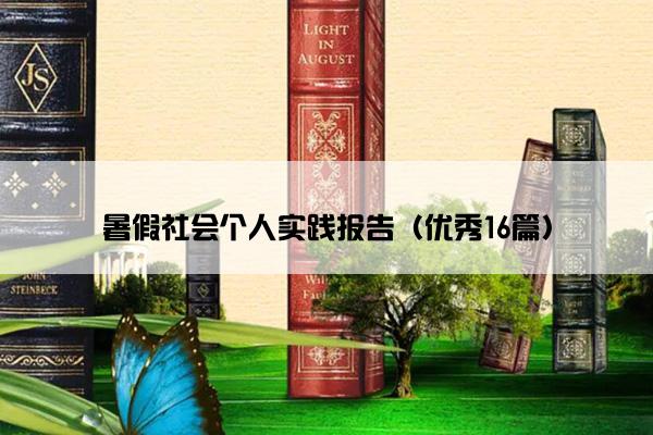 暑假社会个人实践报告（优秀16篇）