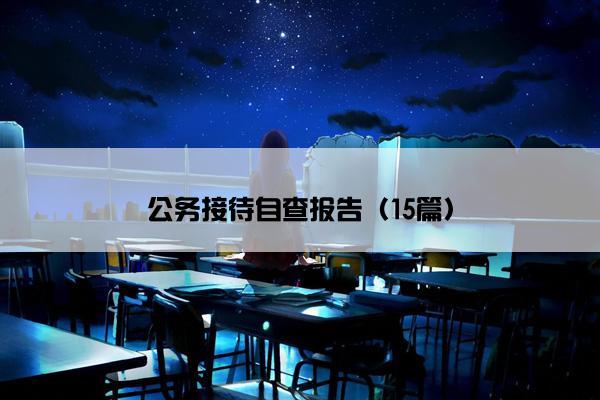 公务接待自查报告（15篇）