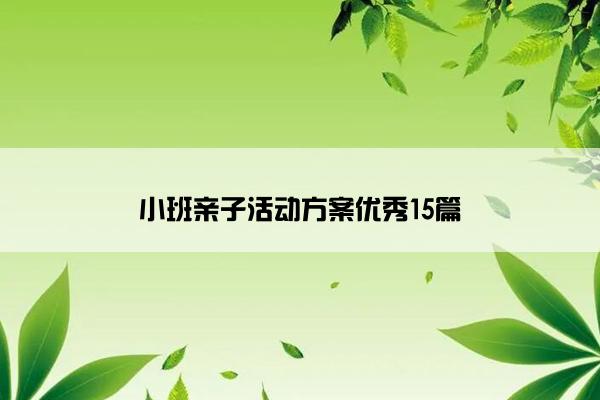 小班亲子活动方案优秀15篇