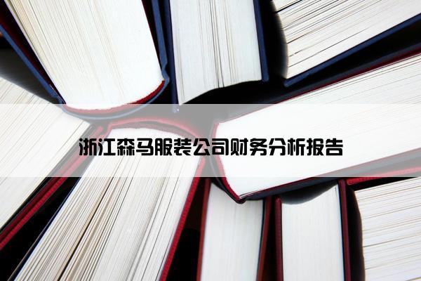 浙江森马服装公司财务分析报告