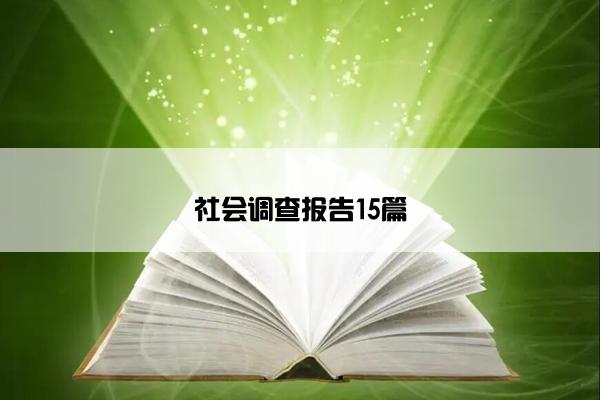 社会调查报告15篇