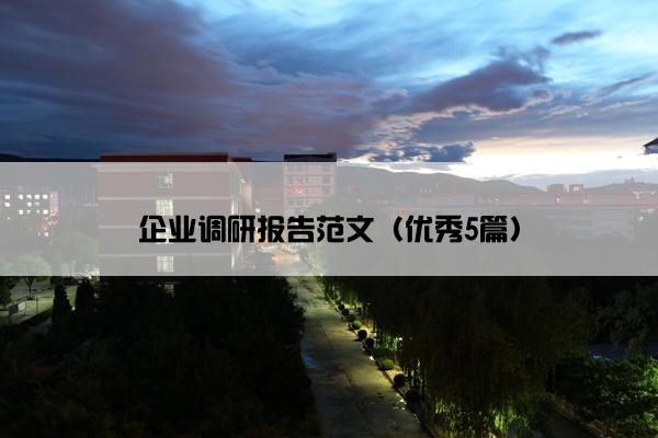 企业调研报告范文（优秀5篇）