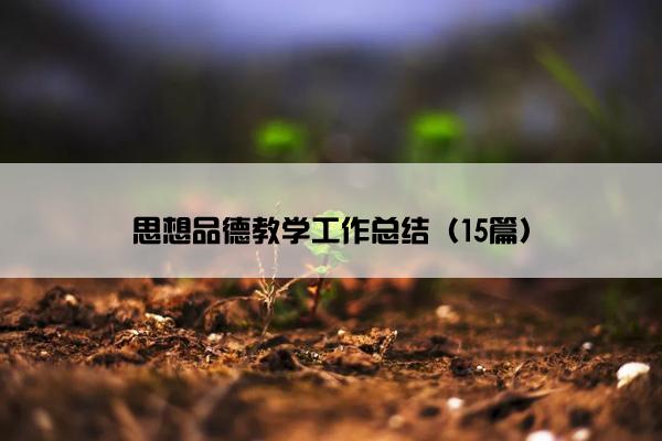 思想品德教学工作总结（15篇）