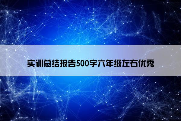 实训总结报告500字六年级左右优秀