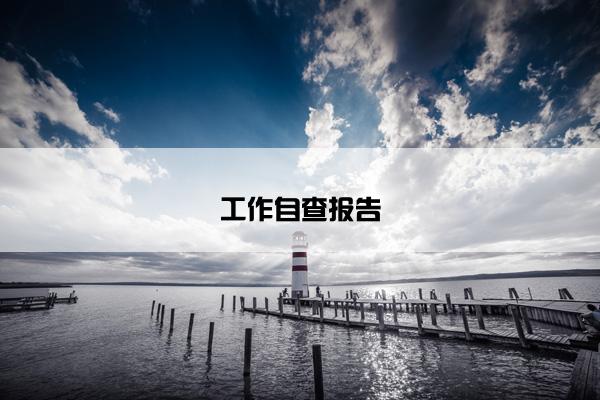 工作自查报告