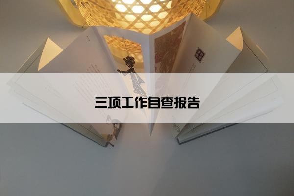 三项工作自查报告