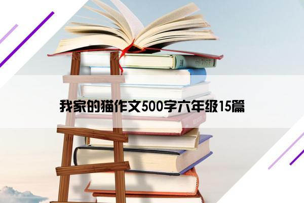 我家的猫作文500字六年级15篇