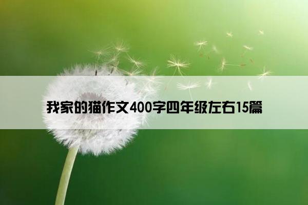 我家的猫作文400字四年级左右15篇
