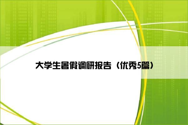 大学生暑假调研报告（优秀5篇）