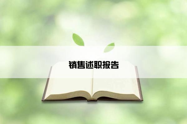 销售述职报告