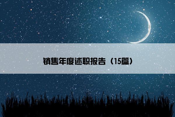 销售年度述职报告（15篇）