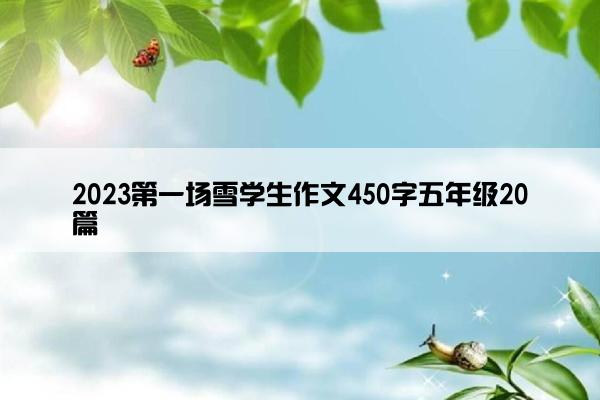 2023第一场雪学生作文450字五年级20篇