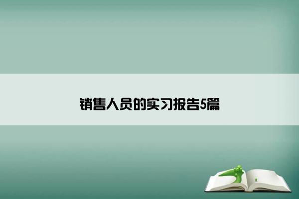 销售人员的实习报告5篇