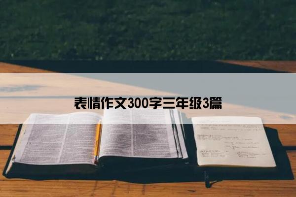 表情作文300字三年级3篇