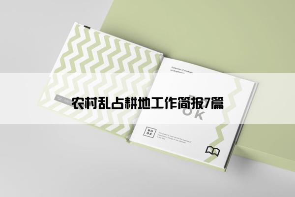 农村乱占耕地工作简报7篇