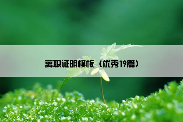 离职证明模板（优秀19篇）