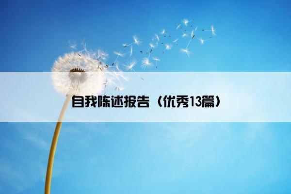 自我陈述报告（优秀13篇）