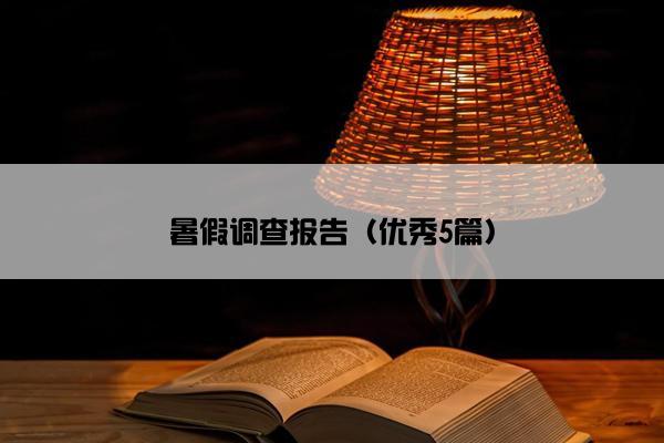 暑假调查报告（优秀5篇）