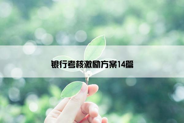 银行考核激励方案14篇