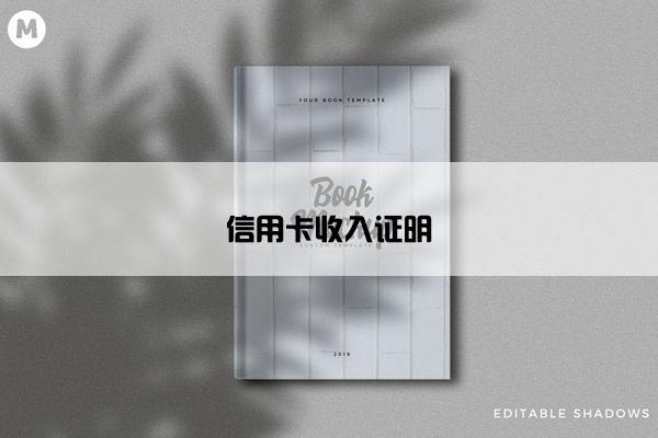 信用卡收入证明