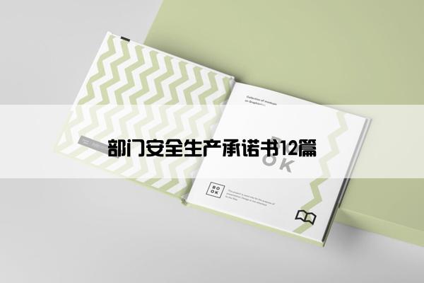 部门安全生产承诺书12篇