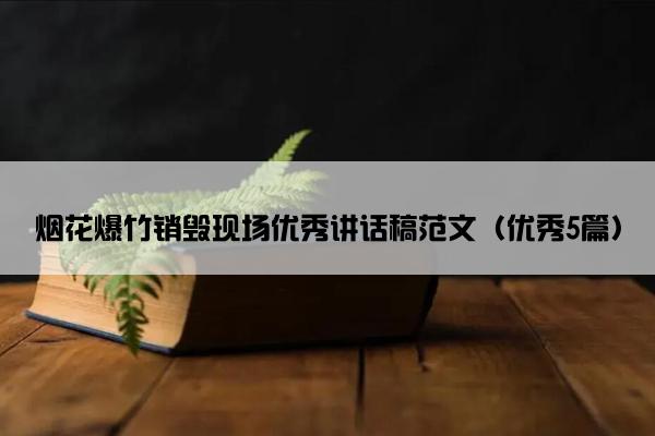 烟花爆竹销毁现场优秀讲话稿范文（优秀5篇）