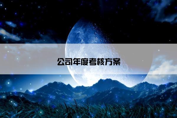公司年度考核方案