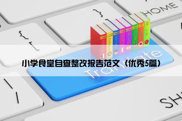 小学食堂自查整改报告范文（优秀5篇）