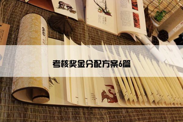 考核奖金分配方案6篇