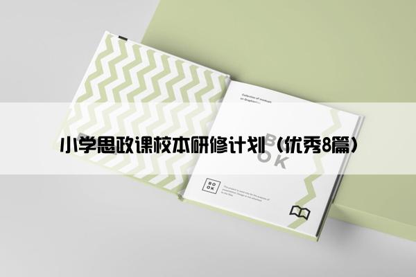 小学思政课校本研修计划（优秀8篇）