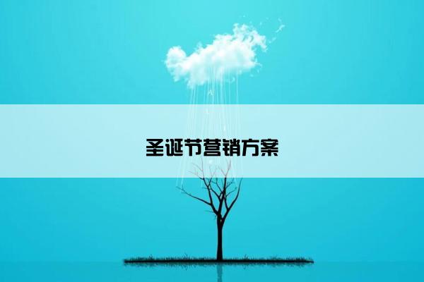 圣诞节营销方案