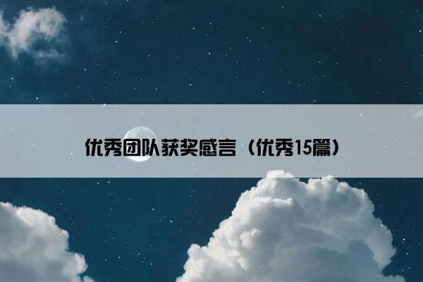 优秀团队获奖感言（优秀15篇）