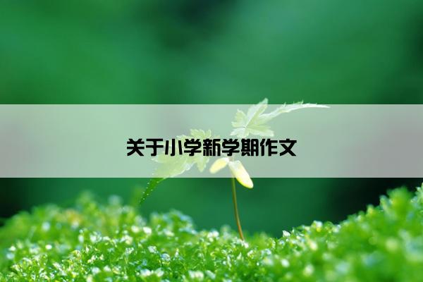 关于小学新学期作文