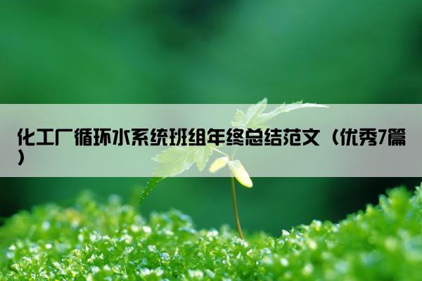化工厂循环水系统班组年终总结范文（优秀7篇）