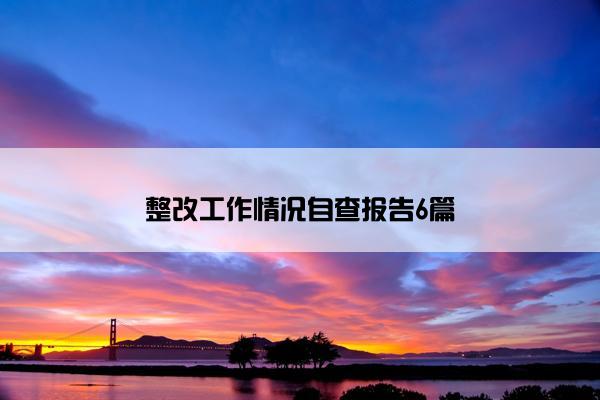 整改工作情况自查报告6篇