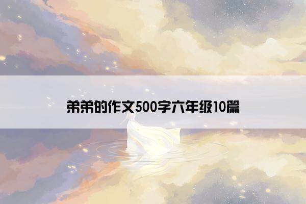 弟弟的作文500字六年级10篇
