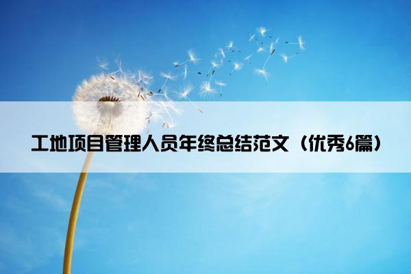 工地项目管理人员年终总结范文（优秀6篇）