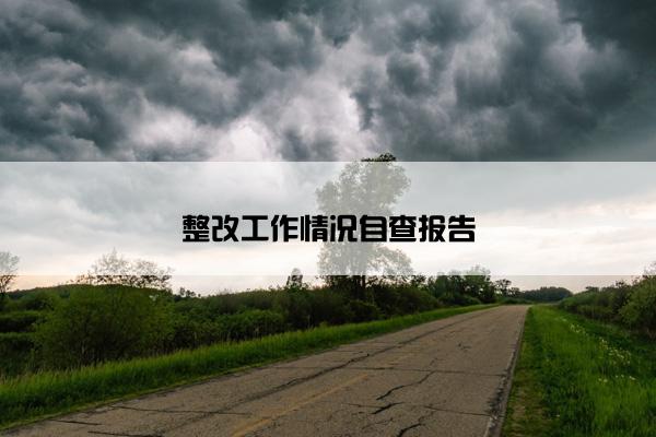 整改工作情况自查报告