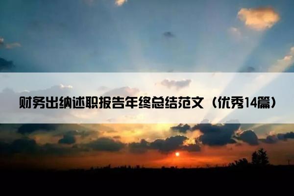 财务出纳述职报告年终总结范文（优秀14篇）