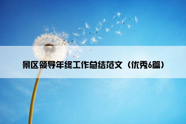 景区领导年终工作总结范文（优秀6篇）