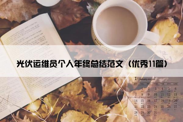 光伏运维员个人年终总结范文（优秀11篇）