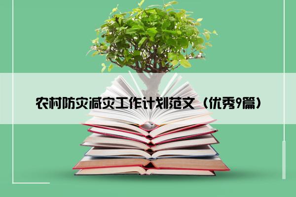 农村防灾减灾工作计划范文（优秀9篇）