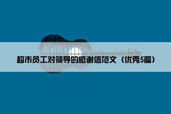超市员工对领导的感谢信范文（优秀5篇）