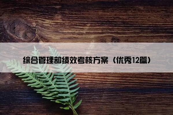 综合管理部绩效考核方案（优秀12篇）