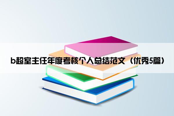 b超室主任年度考核个人总结范文（优秀5篇）