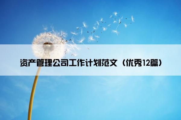 资产管理公司工作计划范文（优秀12篇）