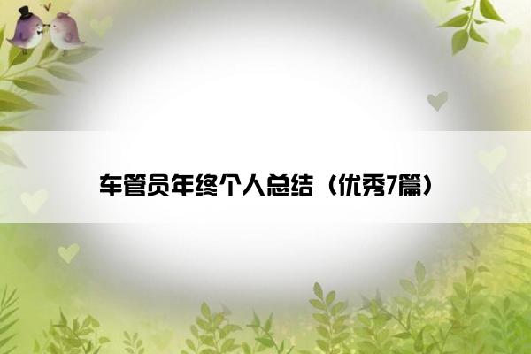 车管员年终个人总结（优秀7篇）