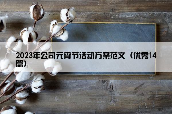 2023年公司元宵节活动方案范文（优秀14篇）