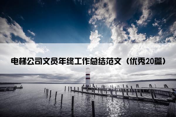 电梯公司文员年终工作总结范文（优秀20篇）