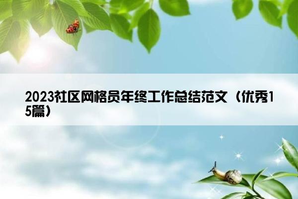 2023社区网格员年终工作总结范文（优秀15篇）